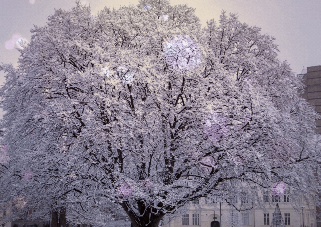 Méditation guidée hiver
